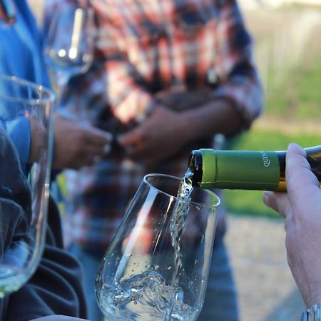 Quinta Pousada De Fora Wines & Tourism Guimarães Zewnętrze zdjęcie
