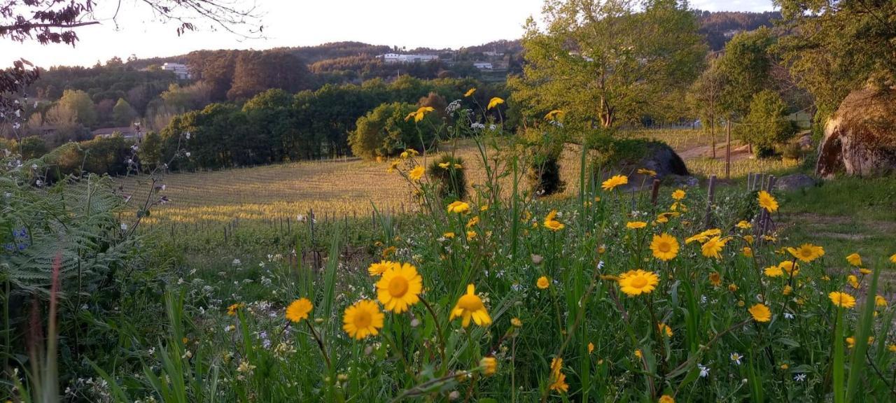 Quinta Pousada De Fora Wines & Tourism Guimarães Zewnętrze zdjęcie