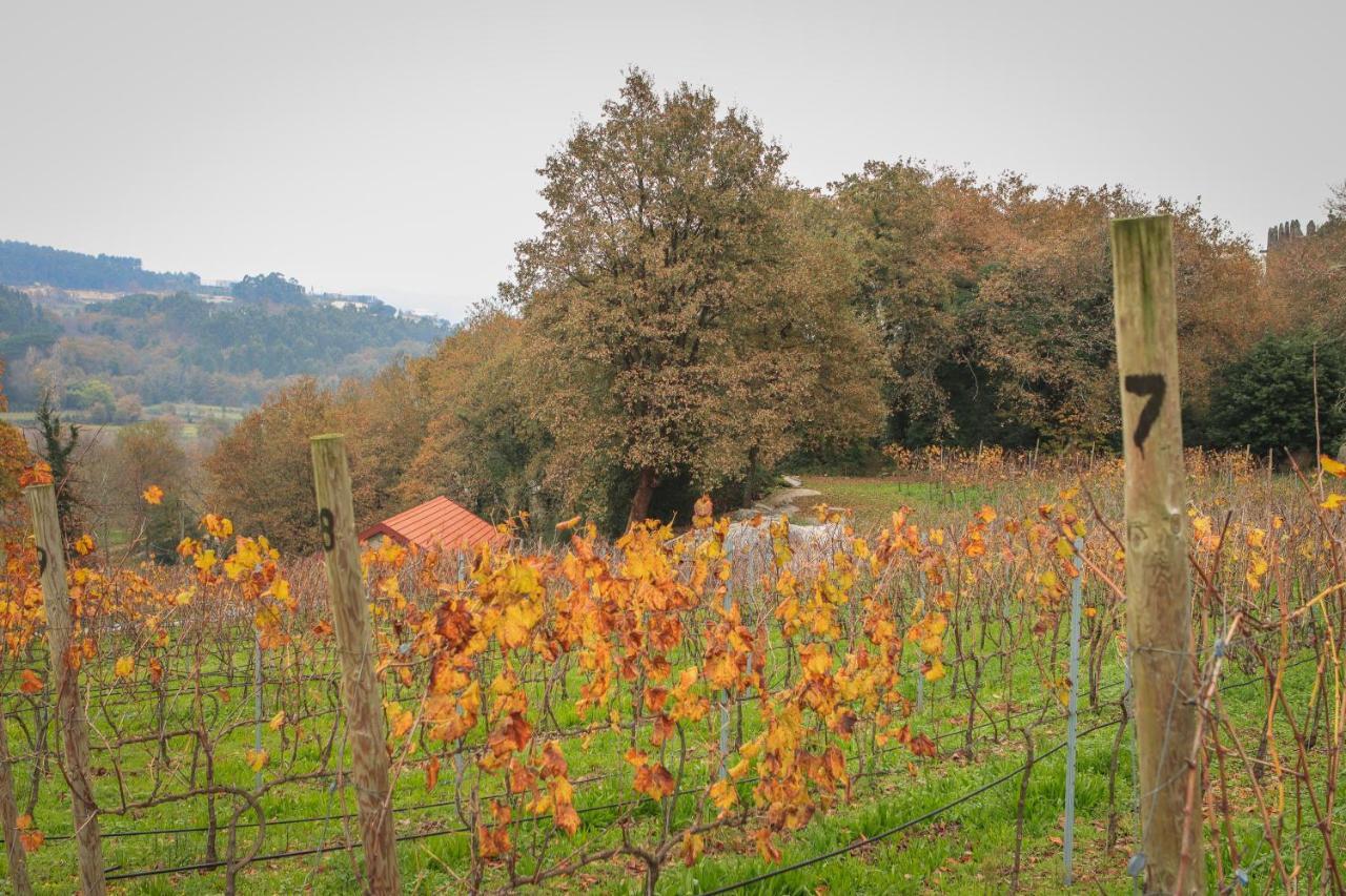 Quinta Pousada De Fora Wines & Tourism Guimarães Zewnętrze zdjęcie