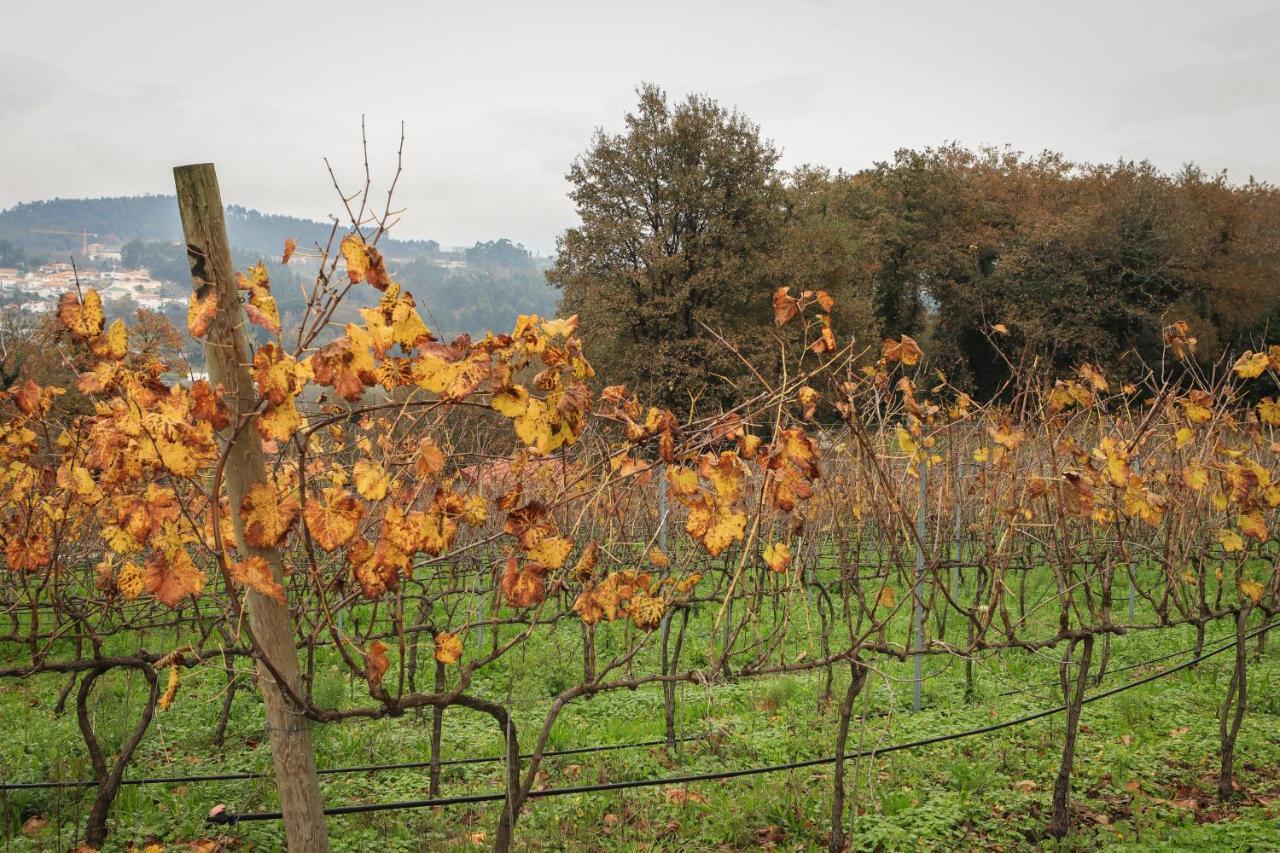 Quinta Pousada De Fora Wines & Tourism Guimarães Zewnętrze zdjęcie
