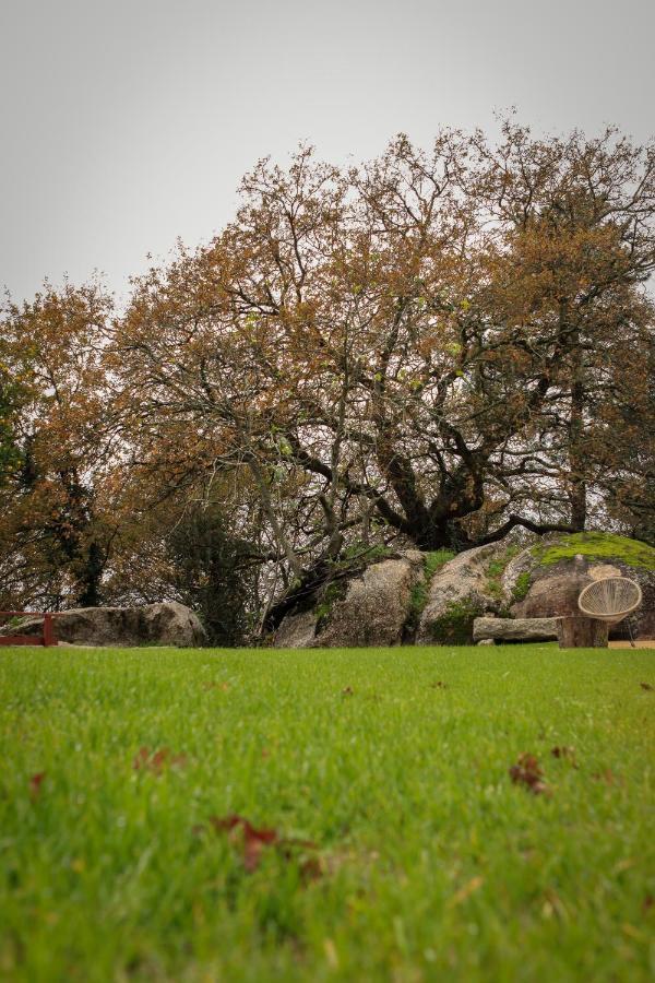 Quinta Pousada De Fora Wines & Tourism Guimarães Zewnętrze zdjęcie
