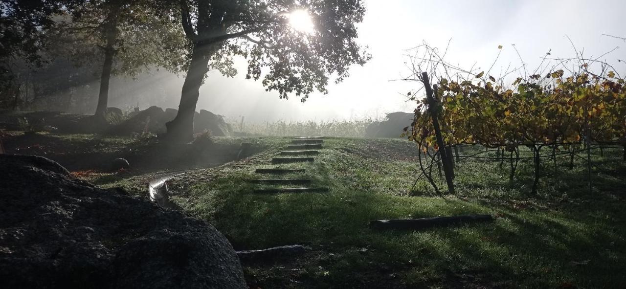Quinta Pousada De Fora Wines & Tourism Guimarães Zewnętrze zdjęcie