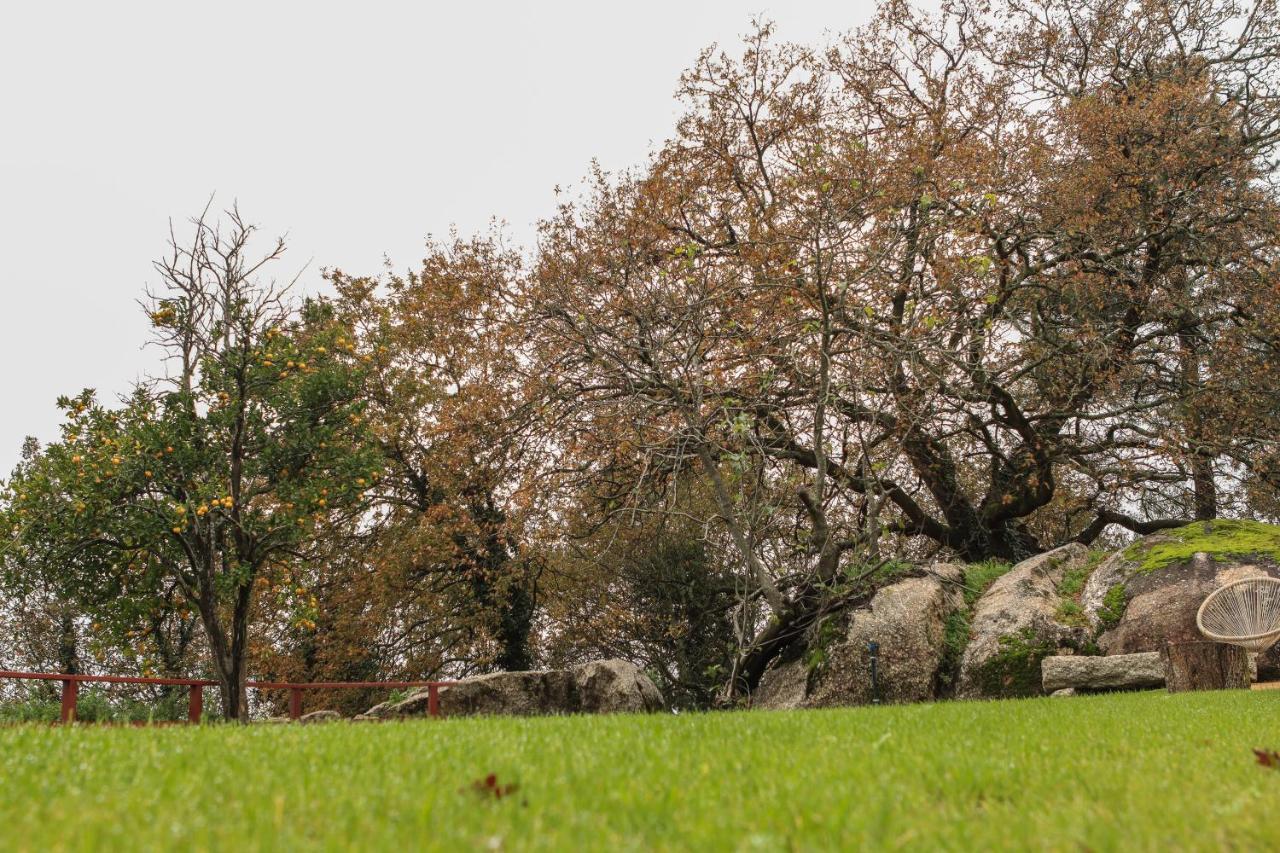 Quinta Pousada De Fora Wines & Tourism Guimarães Zewnętrze zdjęcie
