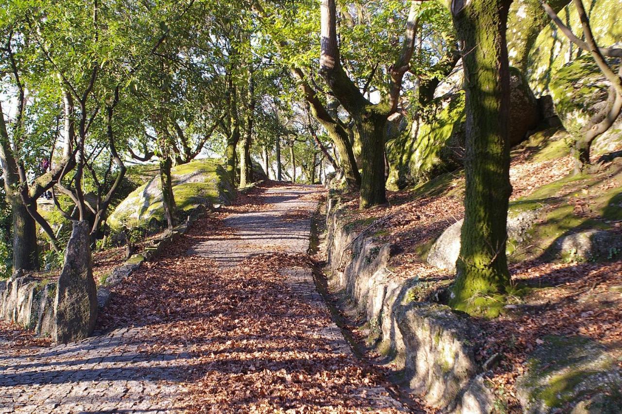 Quinta Pousada De Fora Wines & Tourism Guimarães Zewnętrze zdjęcie