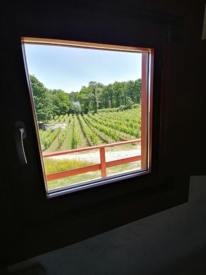 Quinta Pousada De Fora Wines & Tourism Guimarães Zewnętrze zdjęcie