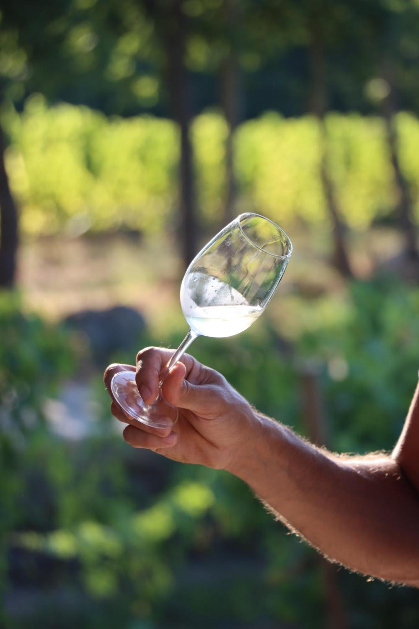 Quinta Pousada De Fora Wines & Tourism Guimarães Zewnętrze zdjęcie